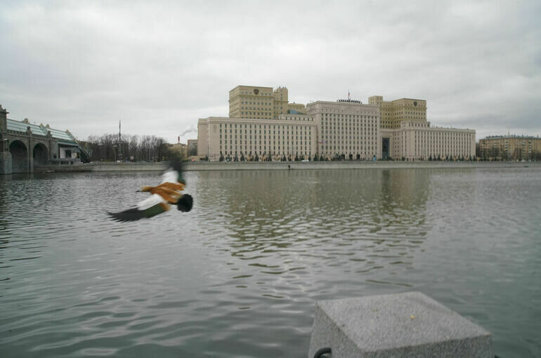   Тимур Ханов/ПГ