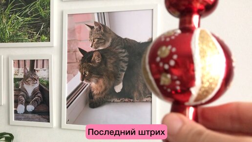 Как мы с котами наряжали ёлку. Главный дизайнер в деле😁