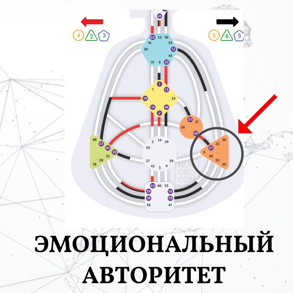 Эмоциональный авторитет Дизайн Человека