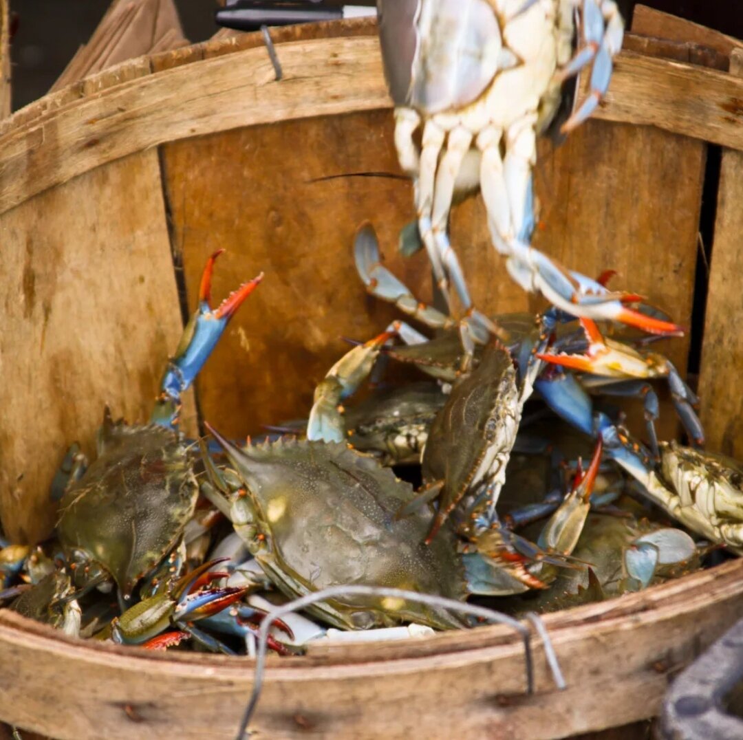 Менталитет краба. Фото из общего доступа