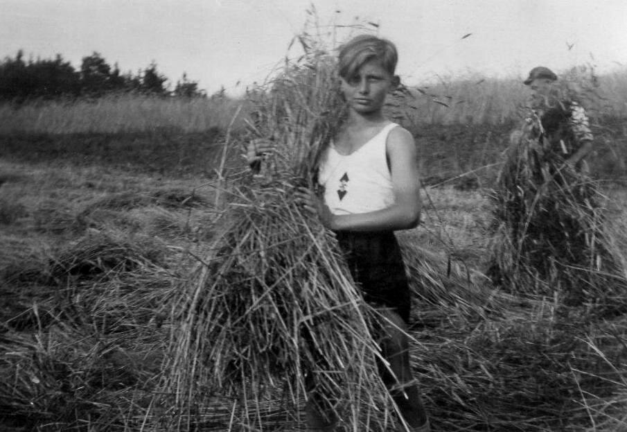 Как Германия чуть не стала аграрной страной: план Моргентау. Фото из открытых источников. 