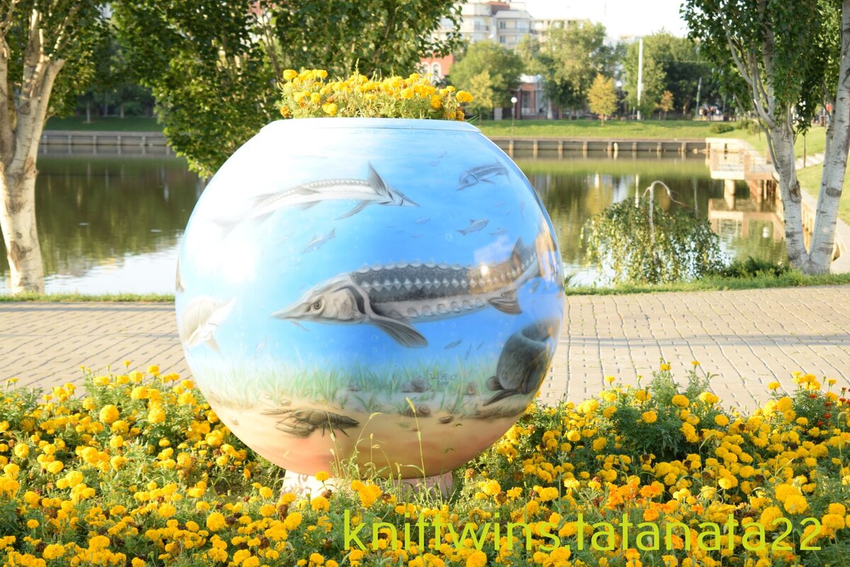 В Астрахани даже клумбы с осетрами