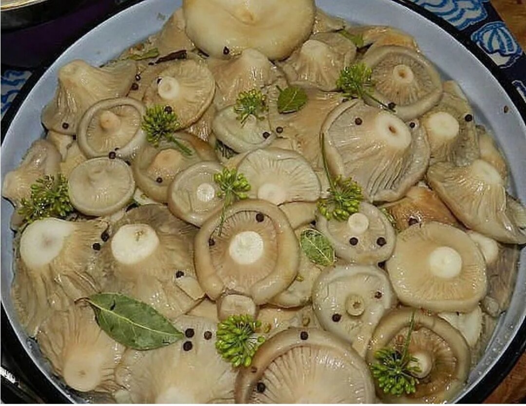 Грузди 😋