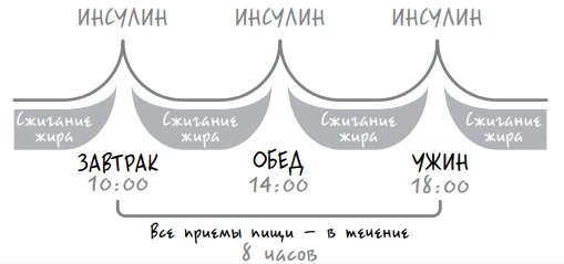 Когда уровень инсулина высокий полностью блокируются процессы жиросжигания