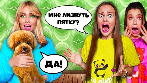 24 ЧАСА СОБАКА СЕСТРы УПРАВЛЯЕТ НАШЕЙ ЖИЗНЬЮ! **Это была ошибка**