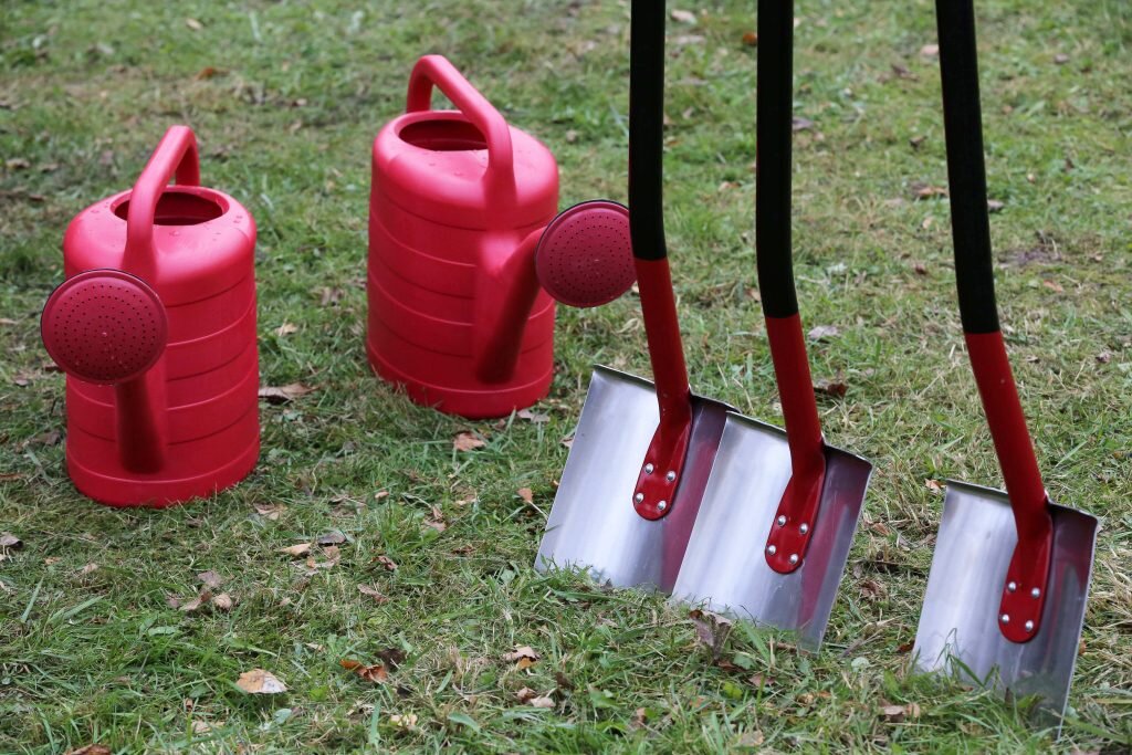    Фото: Baltphoto/Андрей Пронин