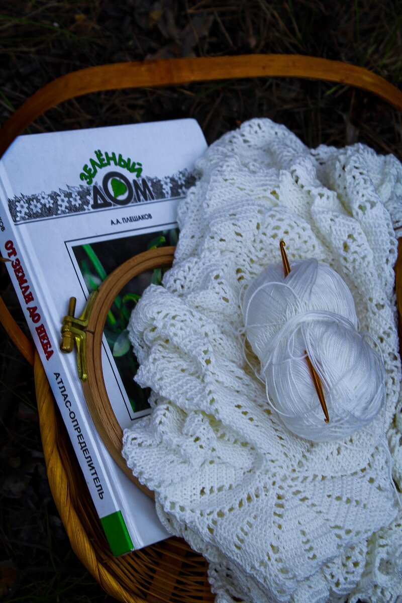 вязание в лесу