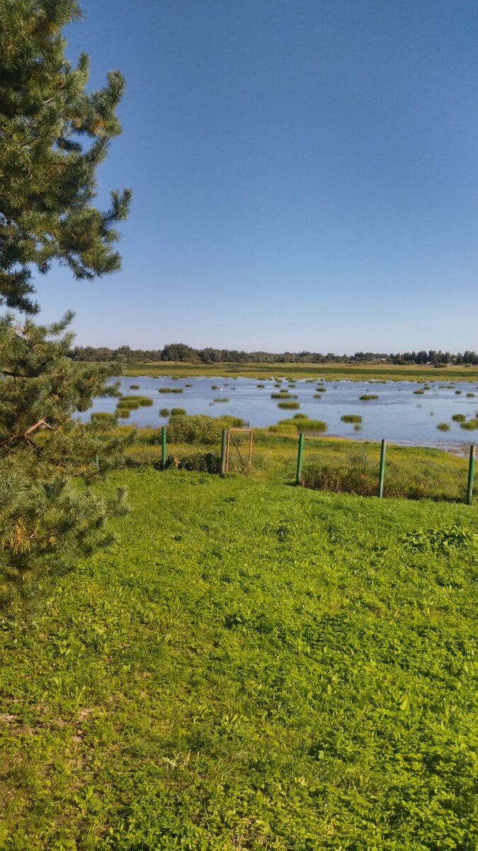 Фото супруга