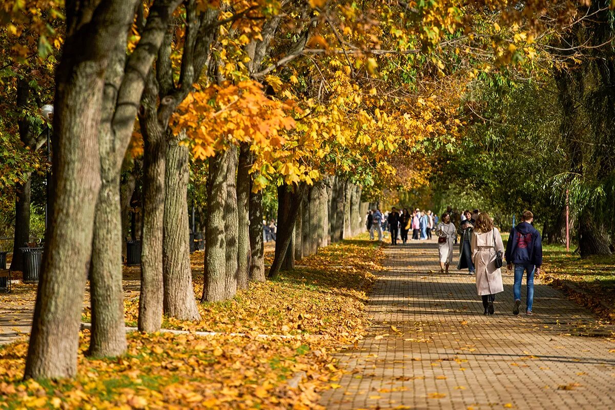 красивые картинки москвы фото осенью