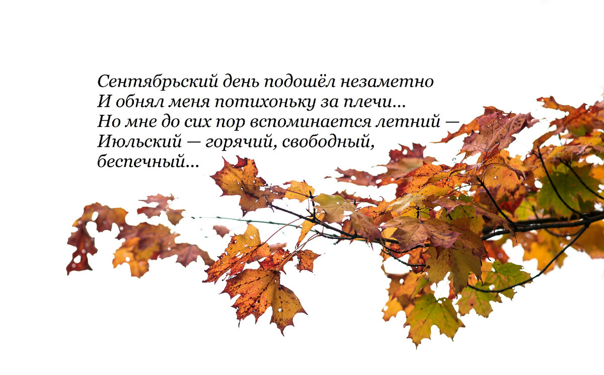 «Какие самые чувственные стихи русских классиков вы читали?» — Яндекс Кью