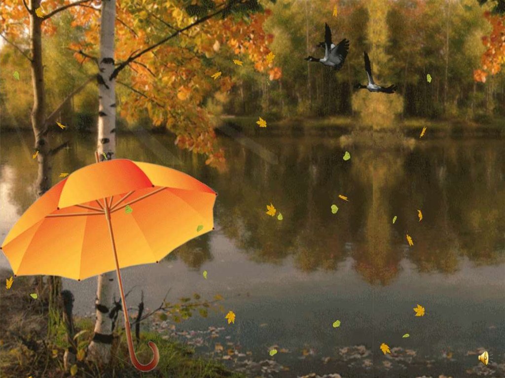 Сказочная осень. Осень дождь. Осенним утром шел я. Осенним утром шел я. Пейзажи художника вячеслава палачева.