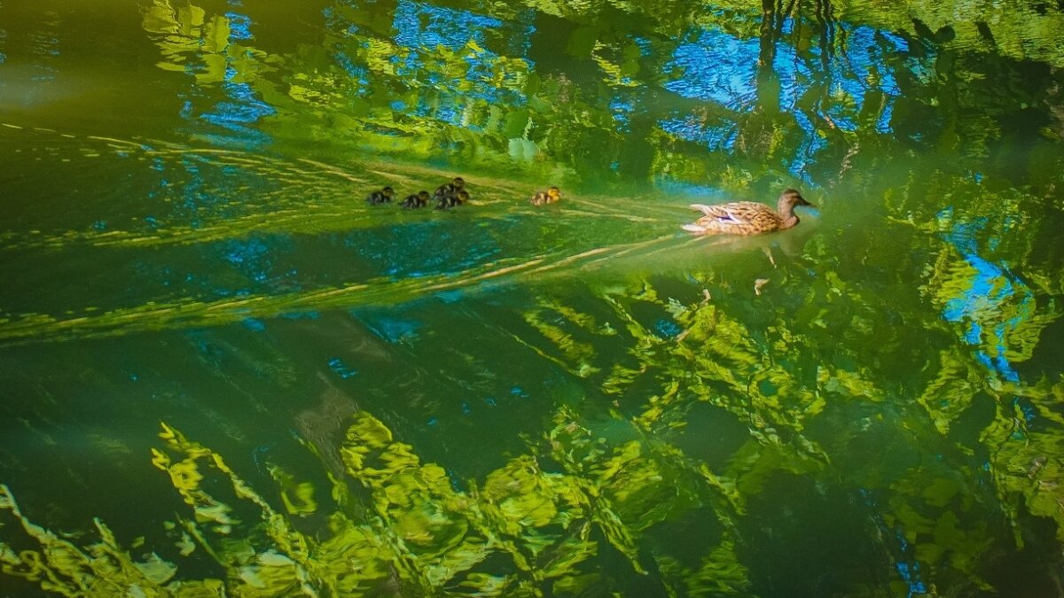 ИА SM-News Тюмень📷
