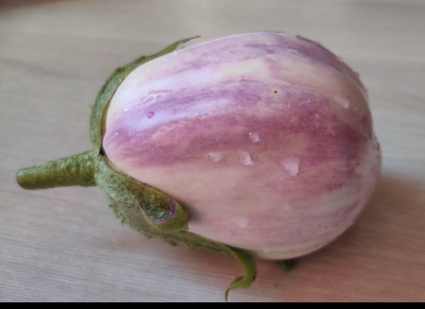 Баклажан Зефир