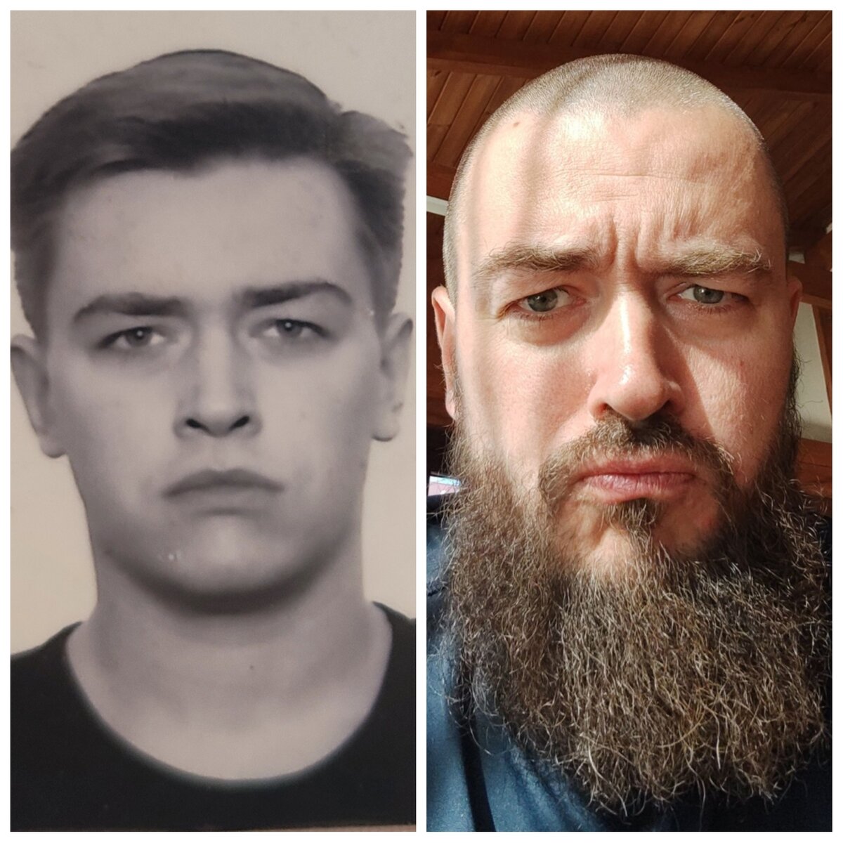 Лохматость повысилась...