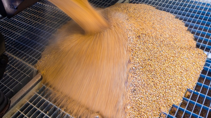 ФОТО: JENS BÜTTNER/DPA/GLOBALLOOKPRESS 