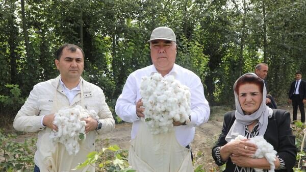    © Foto / Пресс-служба председателя Согдийской области