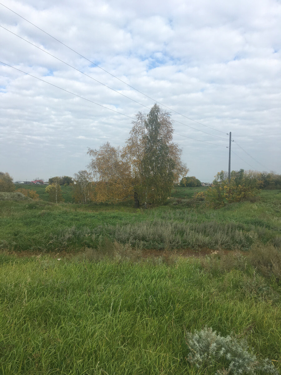 По пути фотку для вас сделала