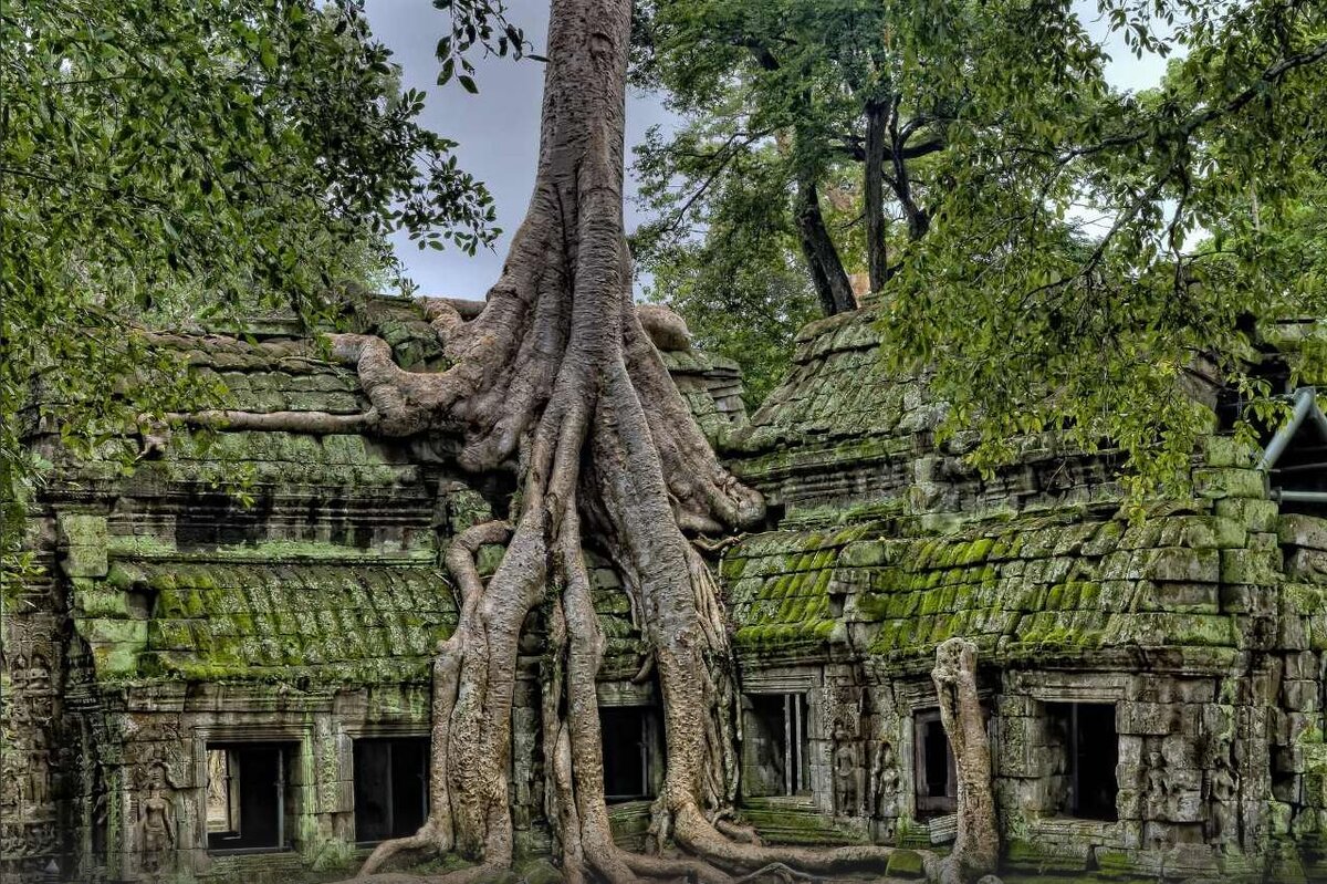 Горький корень обид и непрощения...