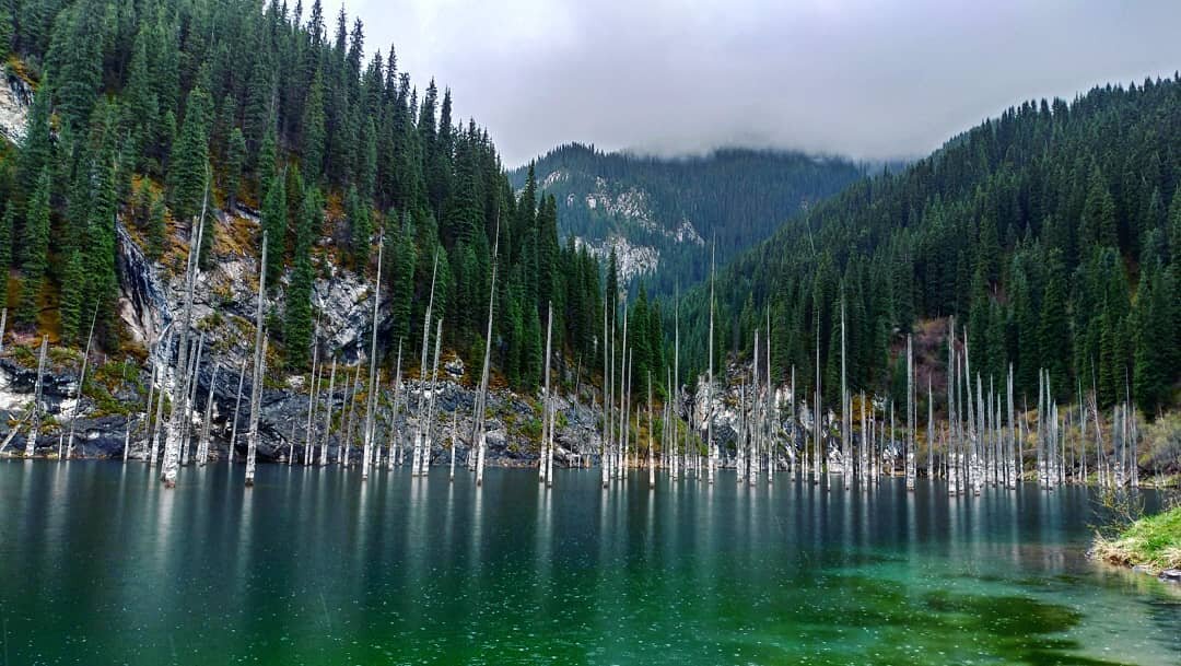 Kaindy Lake Kazakhstan