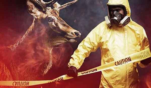 Они носят в себе опасное заболевания