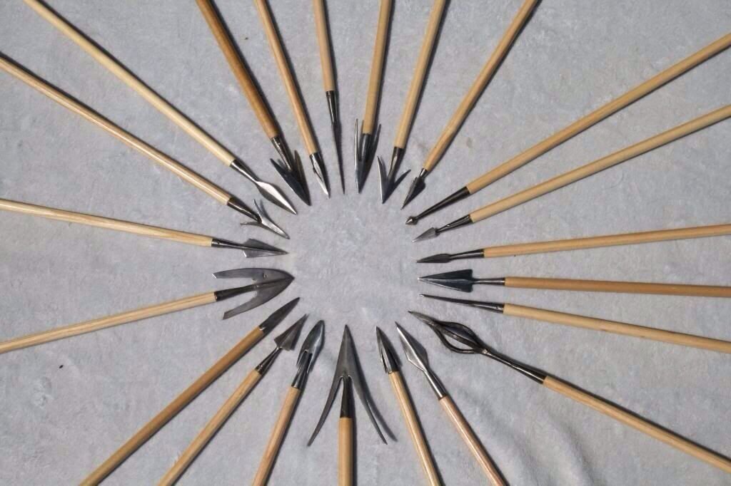 Великолепное многообразие