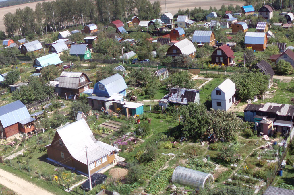 фото из интернета