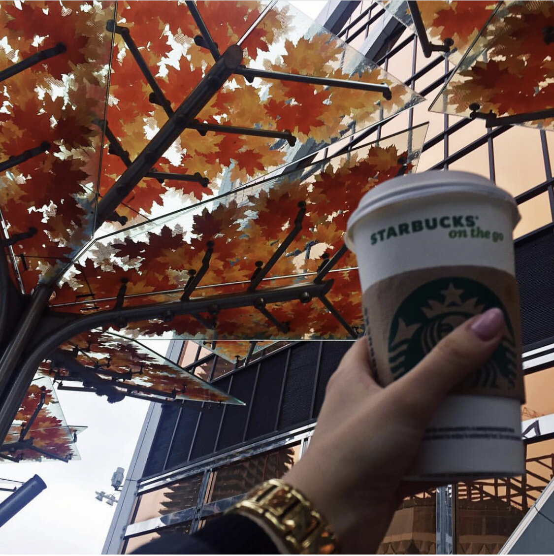 Фото из архива будней Брокера