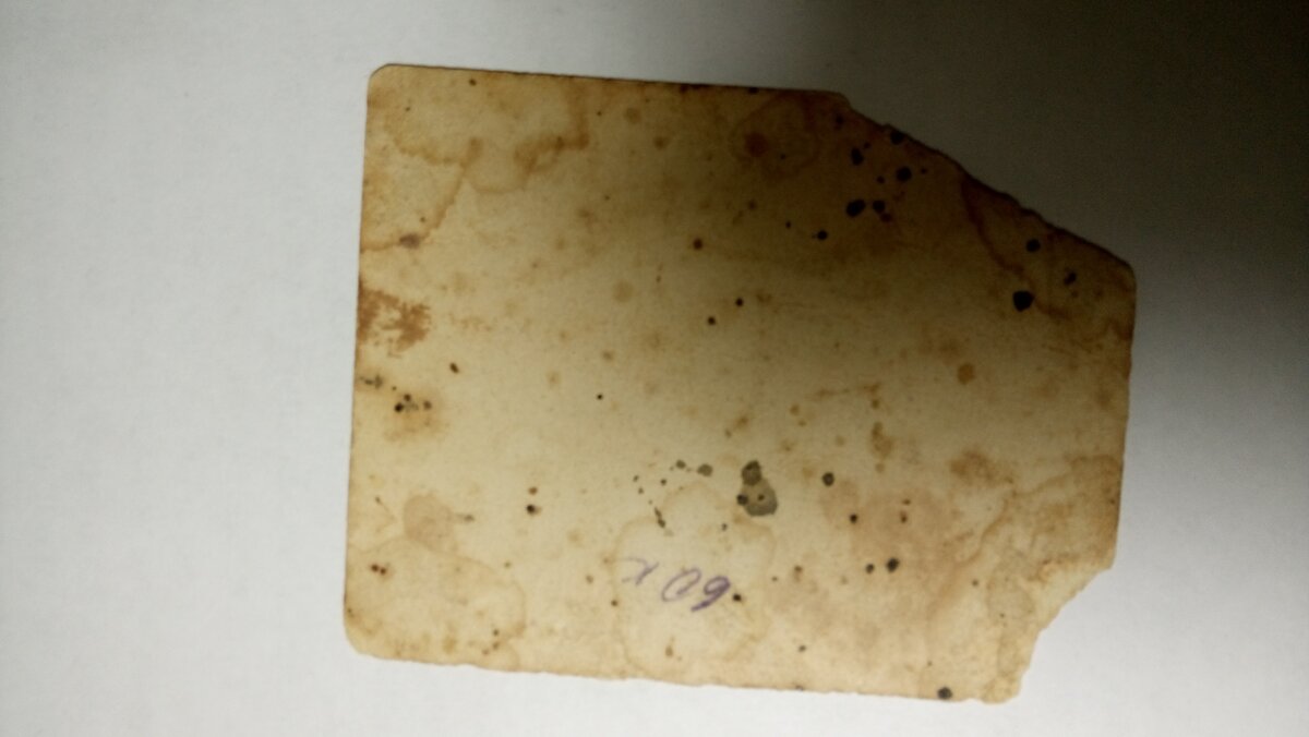 Фото Вещистка