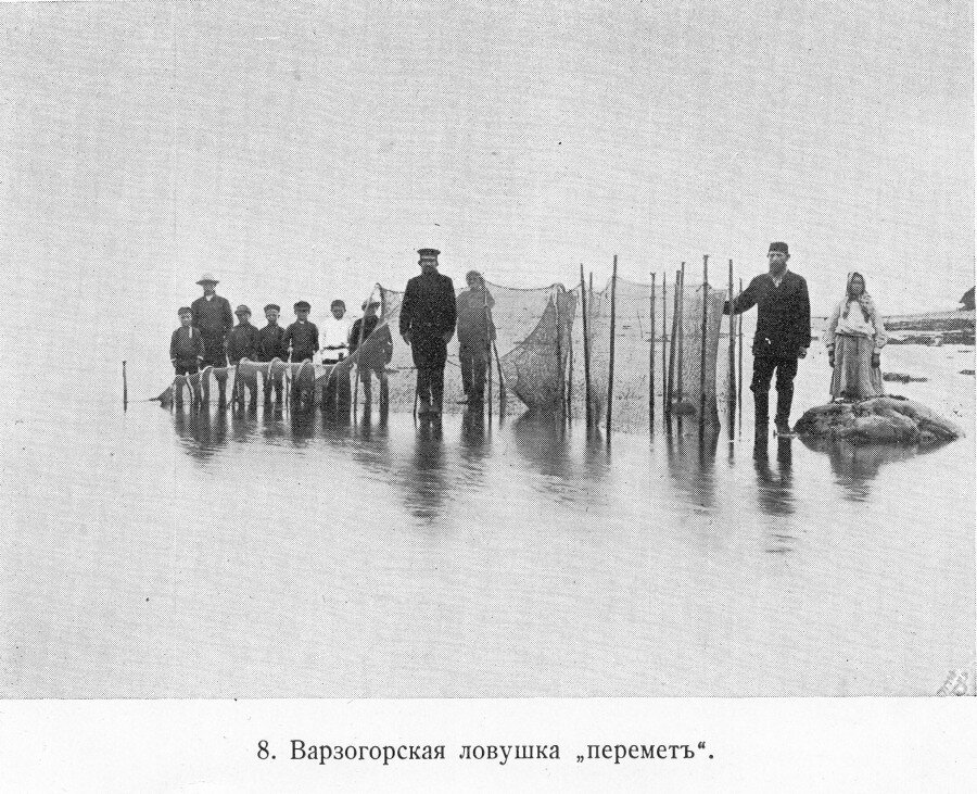Монструозные рыболовные снасти на Белом море