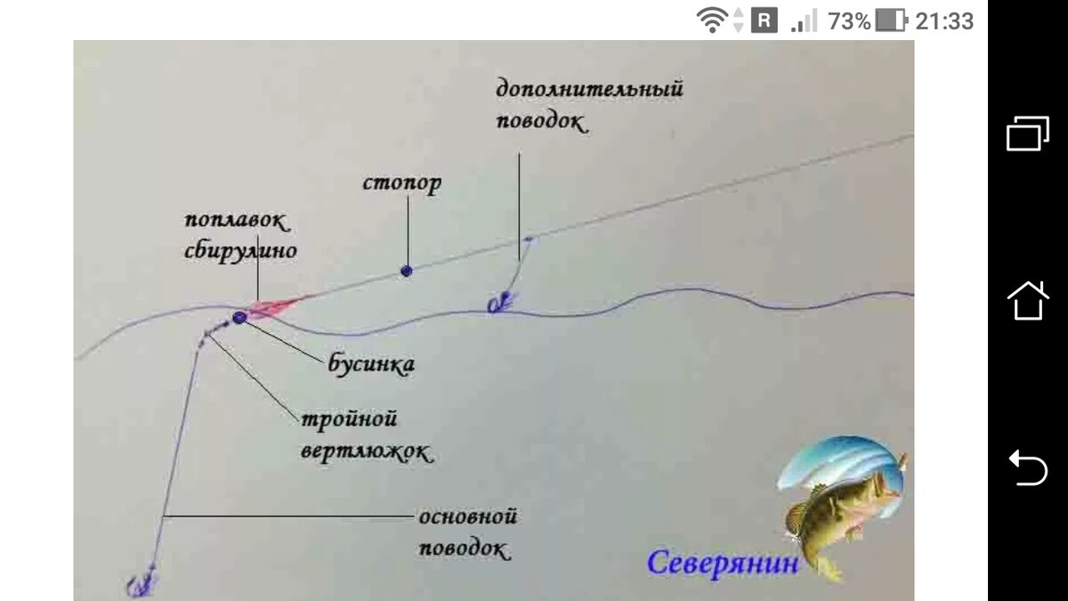 Как ловить чехонь - видео о том где ловить весной и техника ловли на резинку