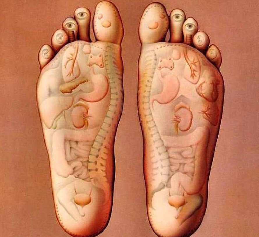                                                  Фото взято из открытых источников.