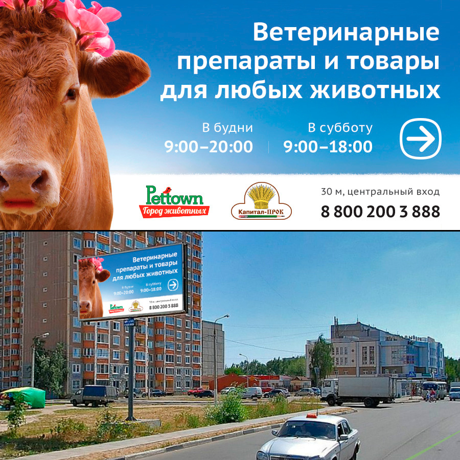 Финальный макет для билборда в естесственной среде обитания