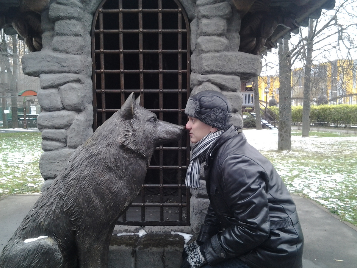 Волк, я тебя не боюсь!// Фото: Андрей Черкасов