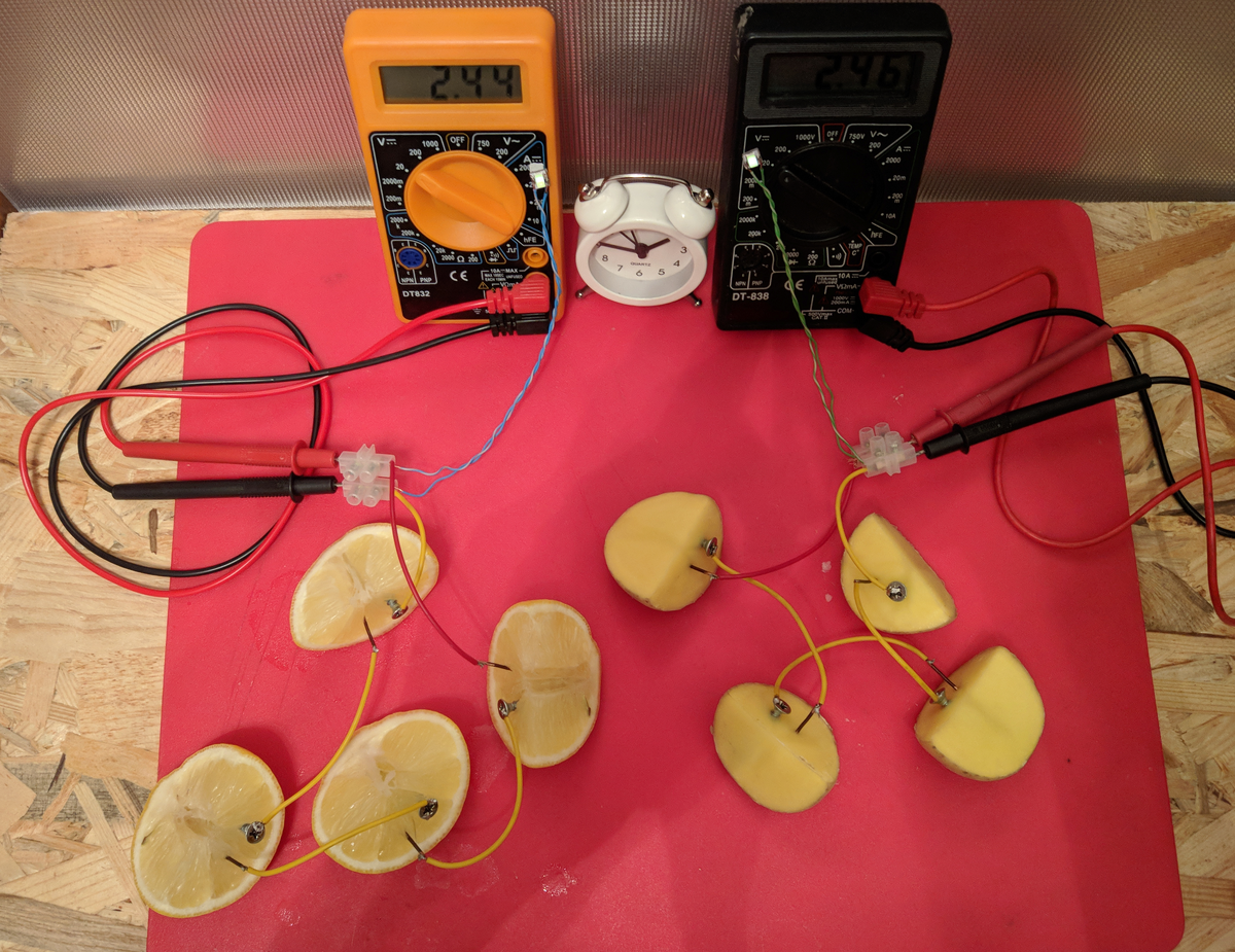 Картошка и лимон до начала эксперимента
