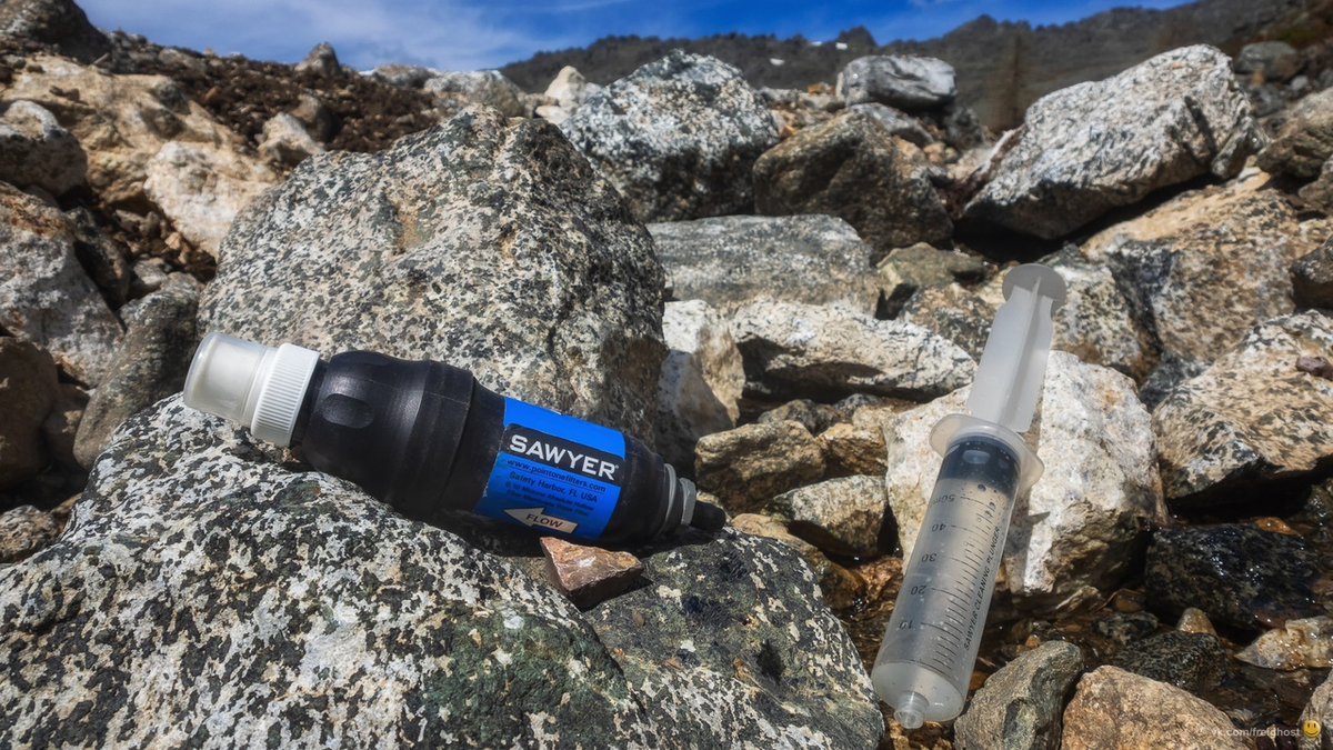 Фото: Андрей Колчин