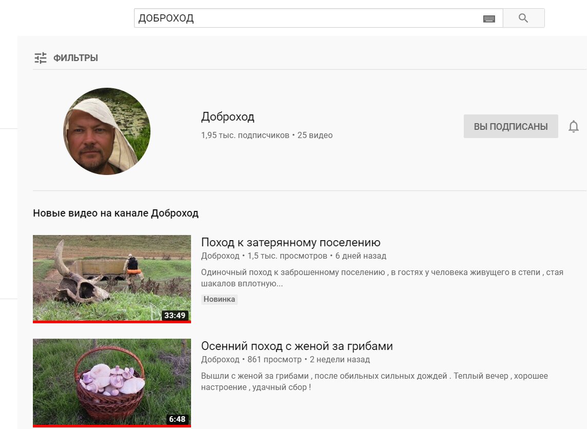 Доброход.YouTube канал про путешествия. Просмотр для всей семьи. | Andy  from Ivanovo. | Дзен