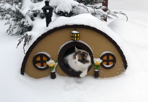 Домик вытащил на снег только ради фото. В обычное время он расположен высоко на крыльце.