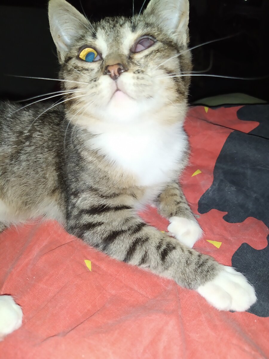 Личное фото автора канала