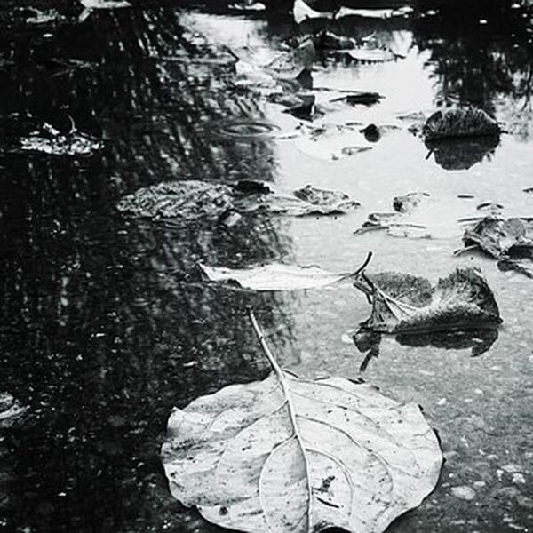 https://cdn.pixabay.com/photo/2019/02/28/19/32/autumn-4026656__340.jpg