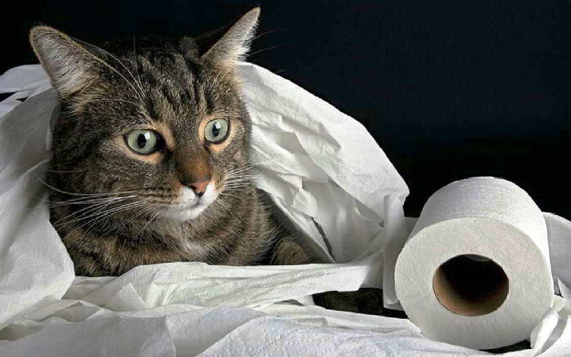 Взято с сайта totalbest.ru