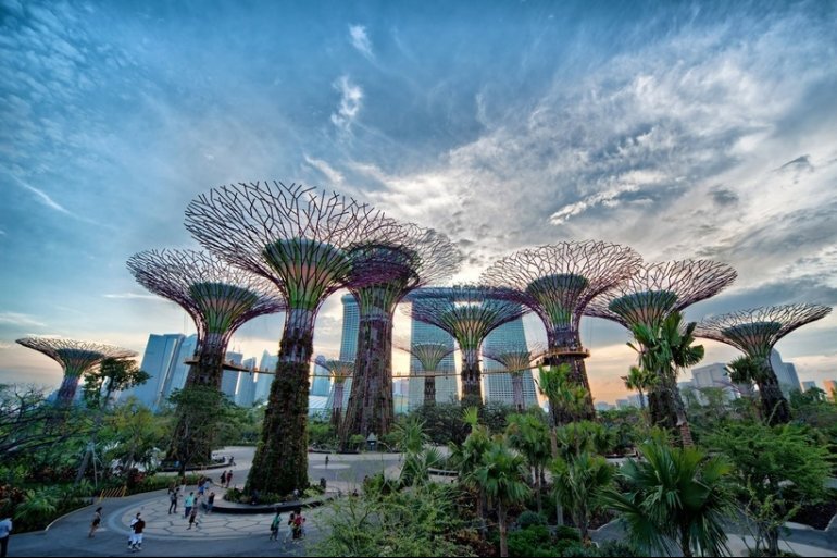 Сингапурский парк с супердеревьями, на которых растут деревья