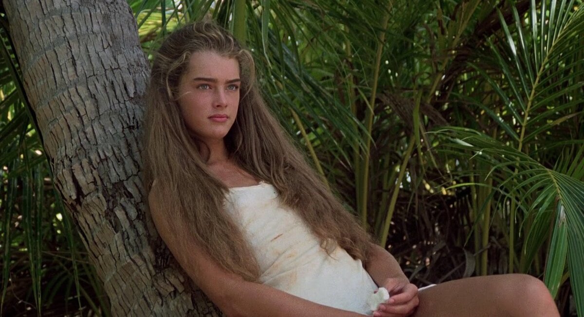 Эротические снимки Брук Шилдс (Brooke Shields)