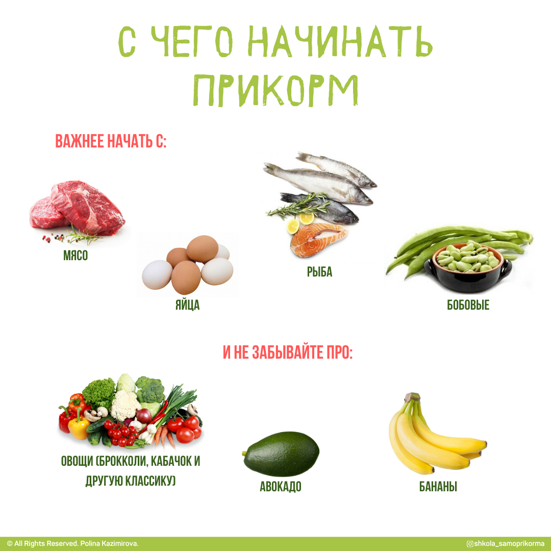 Что можно давать 7. Продукты прикорма. Овощи для прикорма по порядку. Подача кусочками прикорм. Самоприкорм BLW.