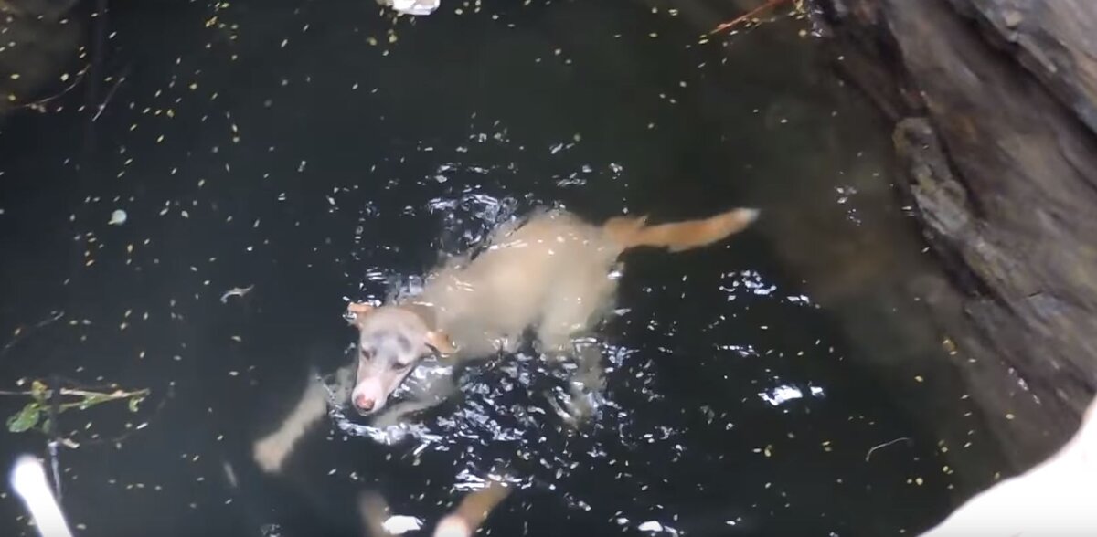 Сил у неё почти не оставалось.