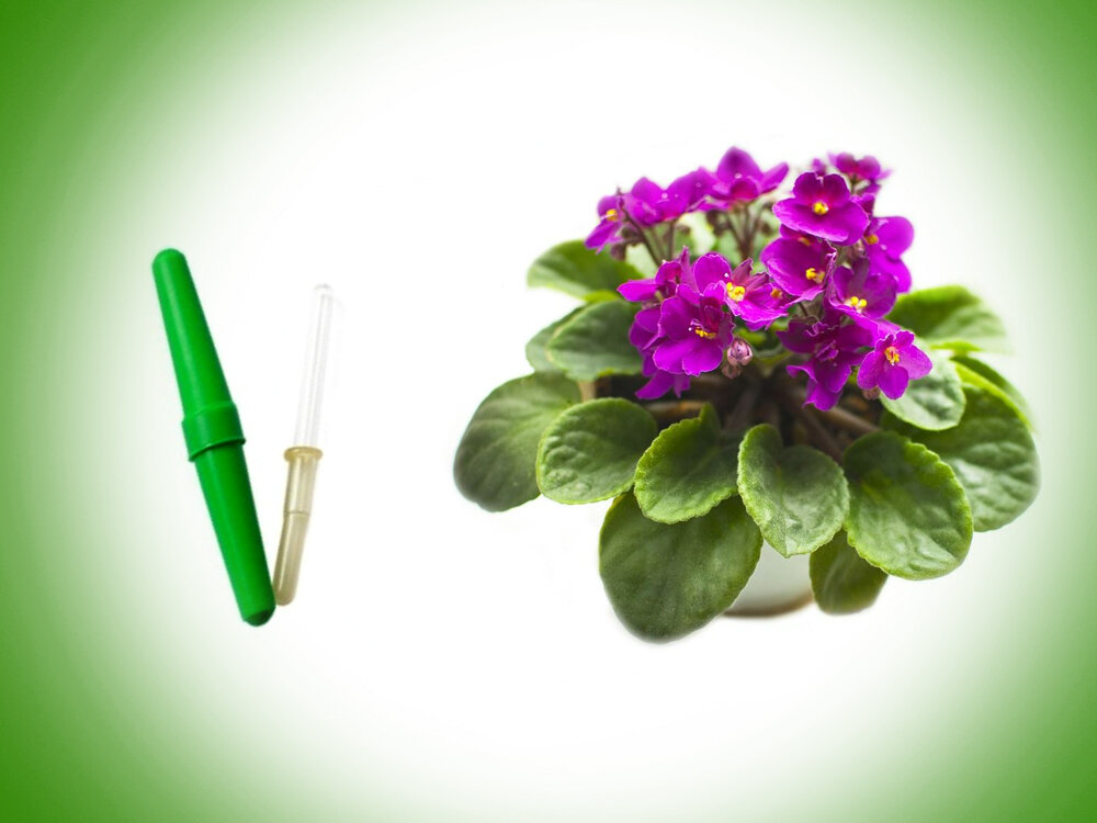  Основа для иллюстрации Фото из Яндекс картинок 