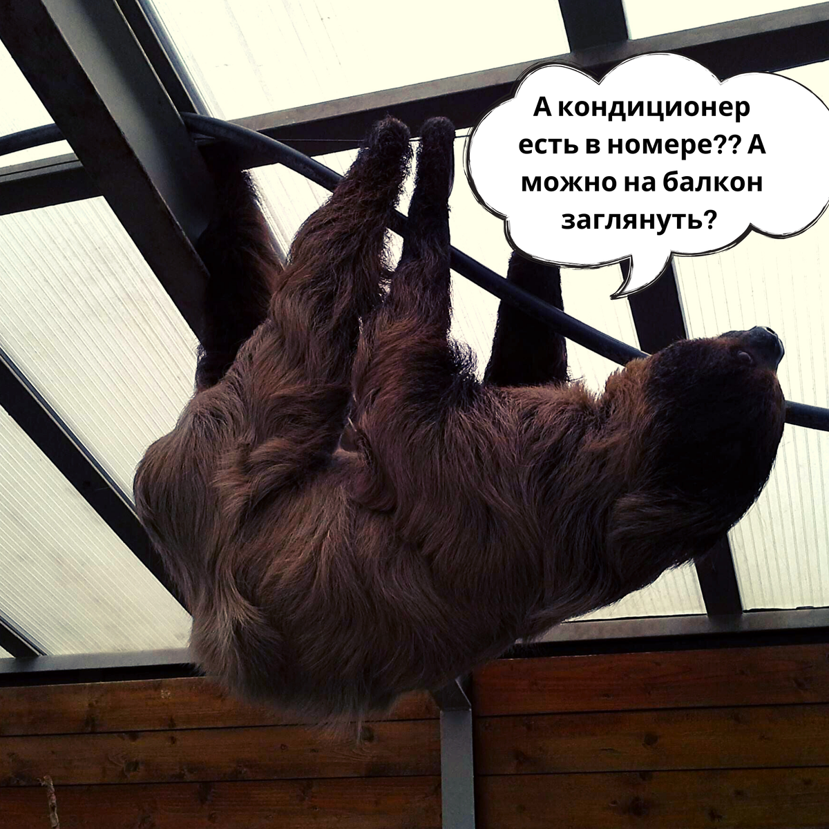 Осмотр номера стандарт