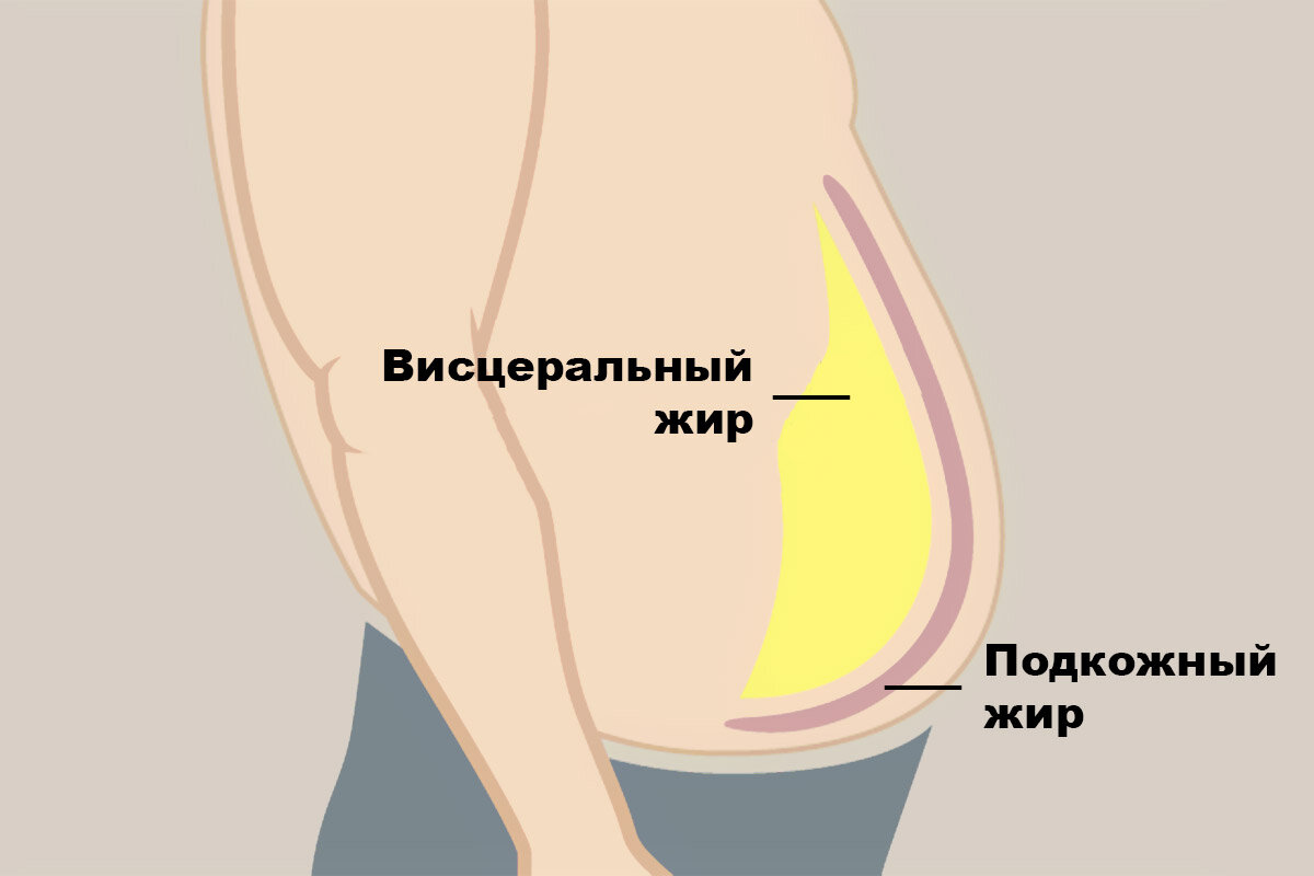 Убрать живот мужчине без диет и упражнений с помощью аппаратных методик в студии косметологии «LA»