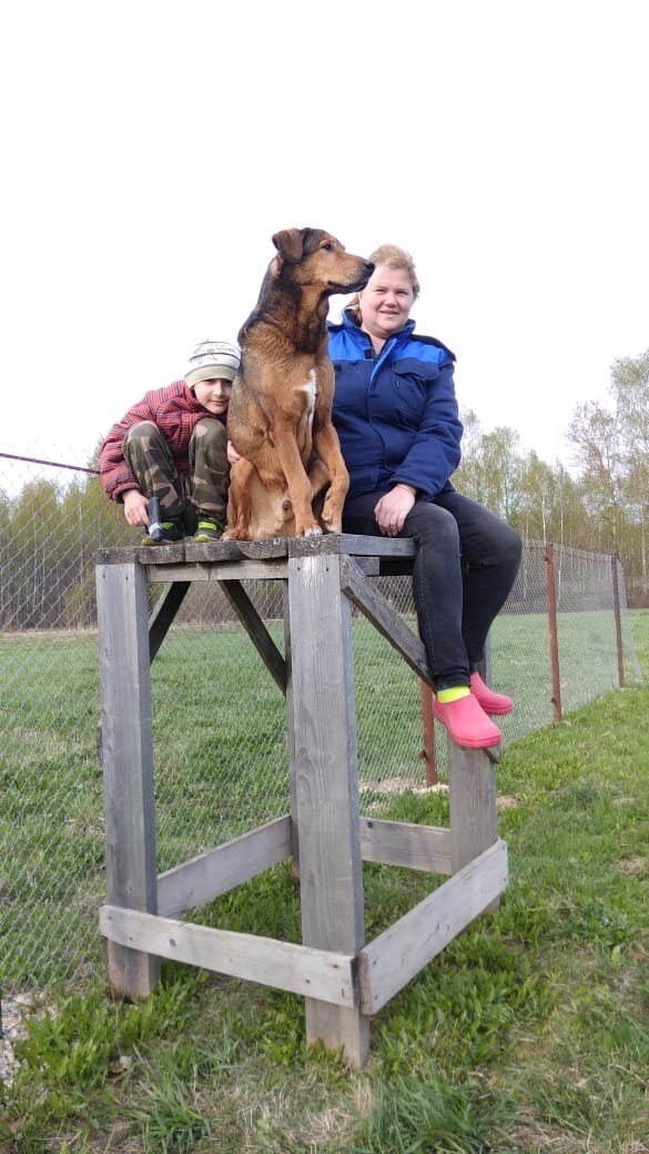 Кедр,выпускник приюта солнцево