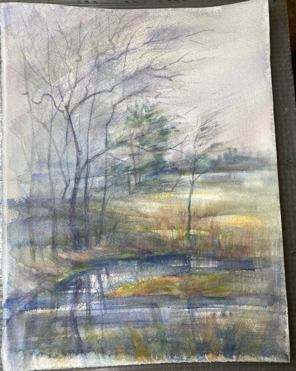 Первый  вариант, оставшийся промежуточным. Очень похож на натуру.