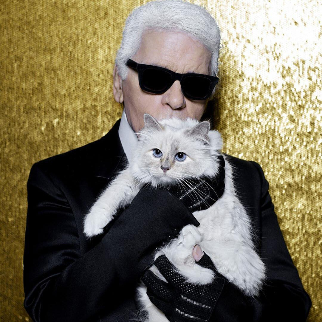 Карл Лагерфельд со своей кошкой Шупетт. Источник фото: интернет.